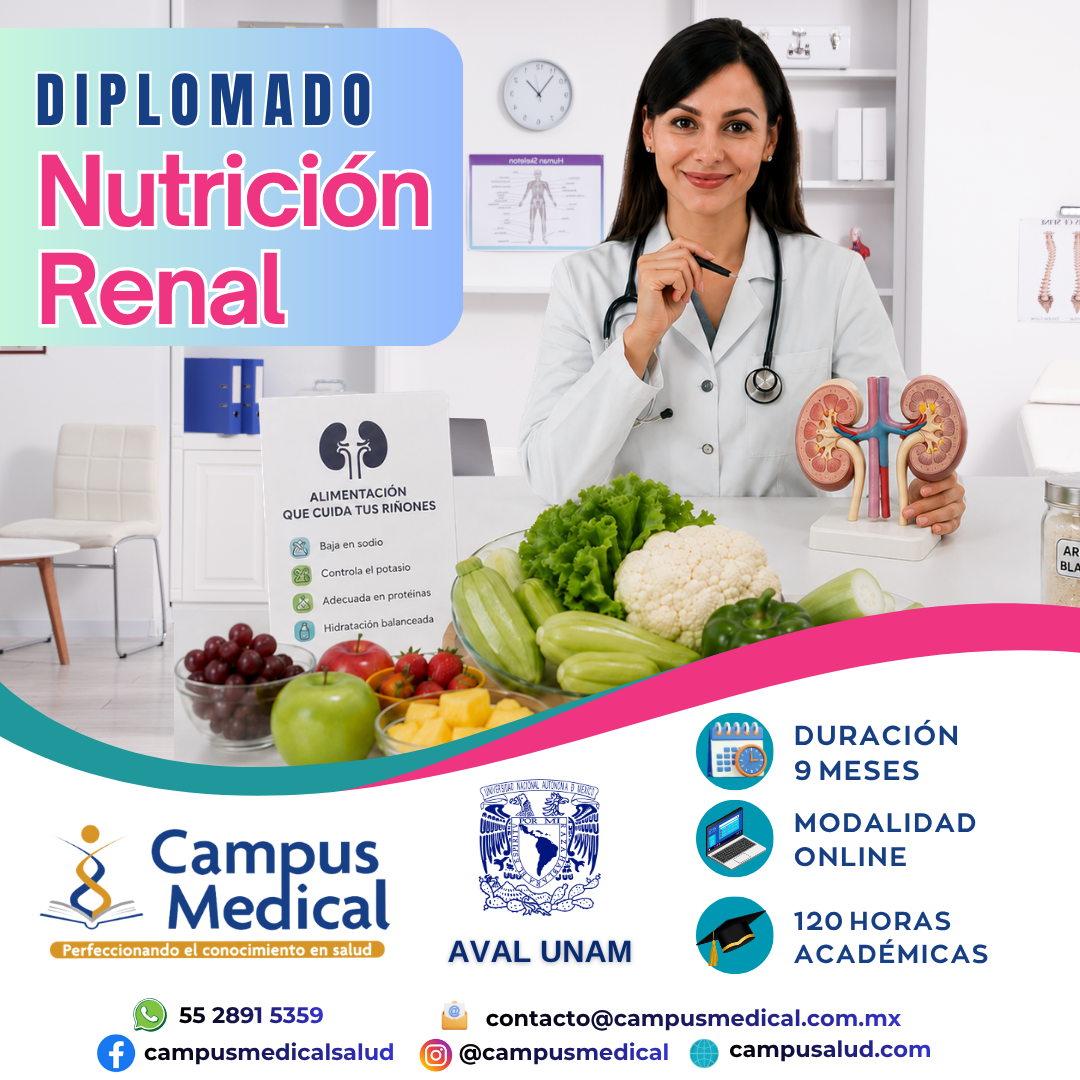 diplomado nutricion renal