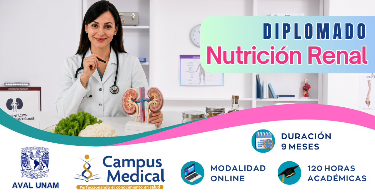 diplomado nutricion renal